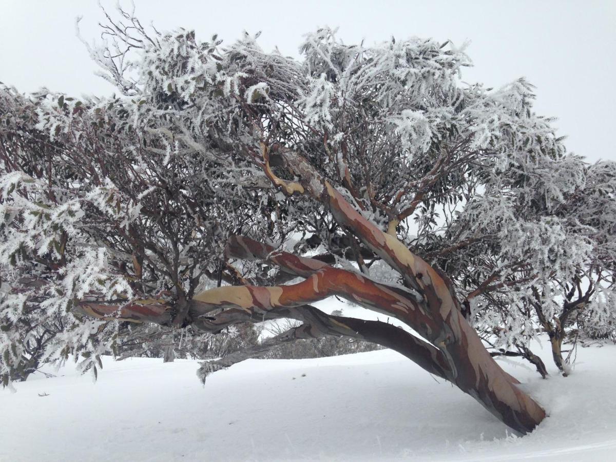 Swagman Chalet Perisher Valley Luaran gambar